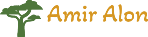 Amir Alon