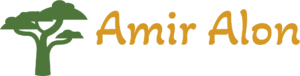Amir Alon